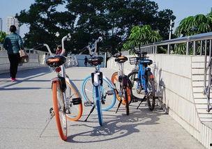 深圳共享单车爆料视频,一窥城市绿色出行背后的真相  第1张