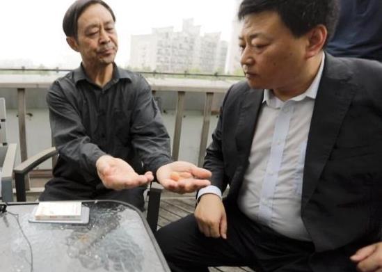 马保国最新爆料新闻,揭秘武术界惊人内幕！  第1张